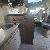 CHAUSSON-610 EDITION LIMITEE